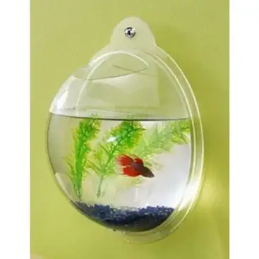 Top 10 Best Wall Mounted Fish Tanks And Bowls To Updated 2020 - Wall Hanging Fish Tank Reviews Top 10 Best Wall Mounted Fish Tanks And Bowls To Updated 2020 - Wall Hanging Fish Tank Reviews