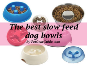 dog slow feeder quotes