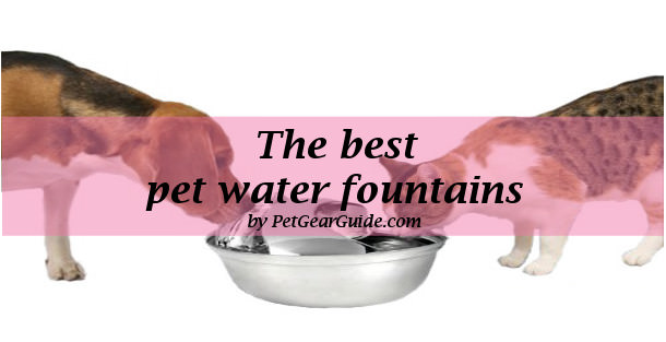 cat h2o cat fountain