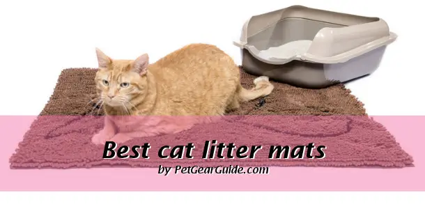Best cat litter mats