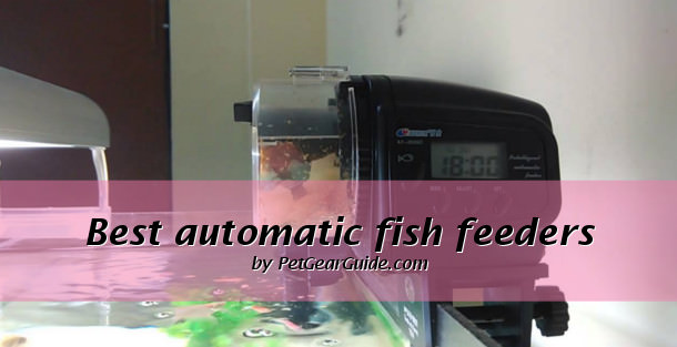 best automatic fish feeders