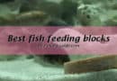 Best fish feeding blocks and fish vacation feeders