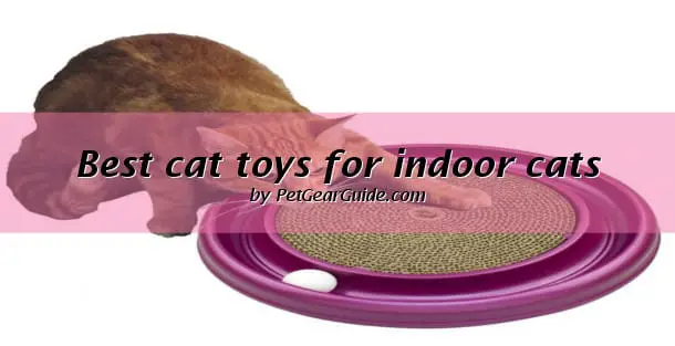 Best cat toys for indoor cats
