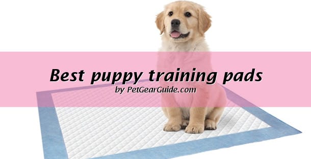 good dog training pads