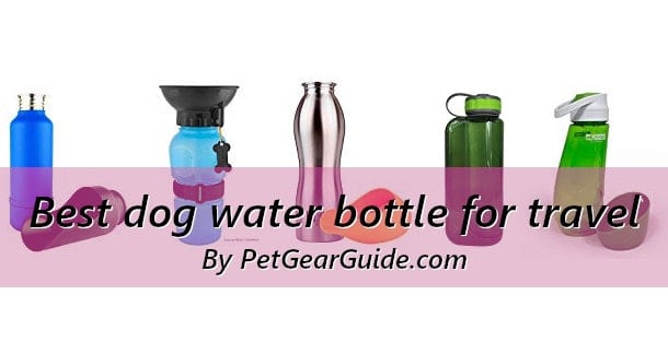 dog water bottle with bowl attached