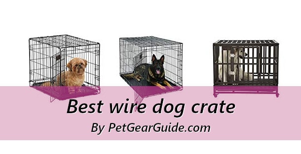 Best wire dog crate
