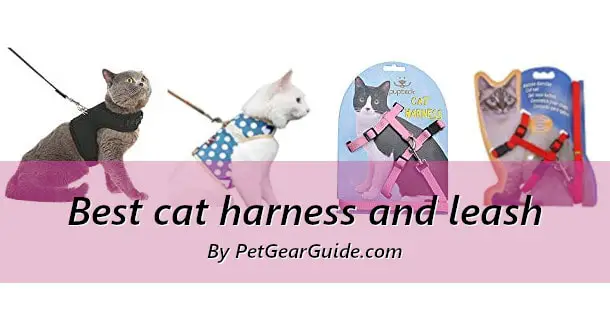 Best cat harness and leash