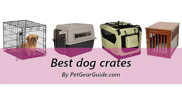 Best dog crates