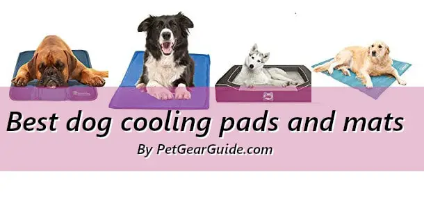 Best dog cooling pads and mats