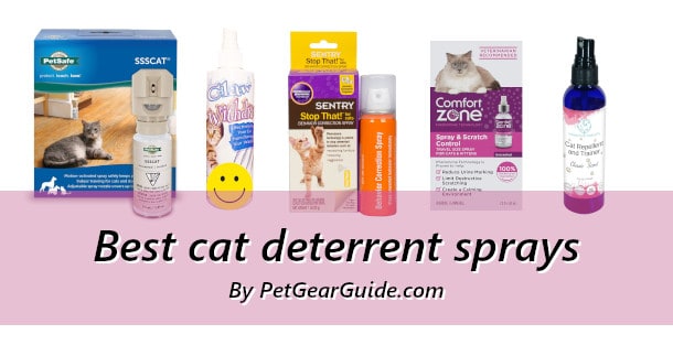 Top 10 best cat deterrent sprays for 