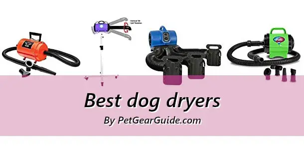 Best dog dryers