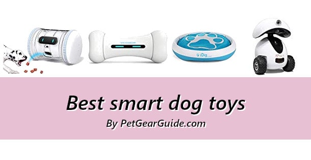 smart dog toys