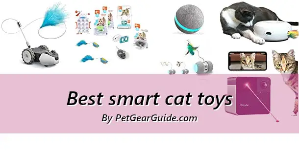 Best smart cat toys