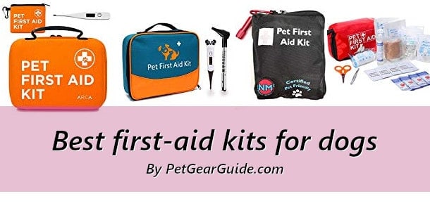 best dog first aid kit