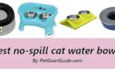 Best no-spill cat water bowls | Best splash-proof cat water bowls